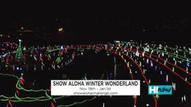 SAC Foundation returns this year with Show Aloha Winter Wonderland