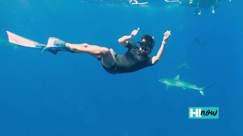 Experience the wonders of marine life with Deep Blue Eco Tours