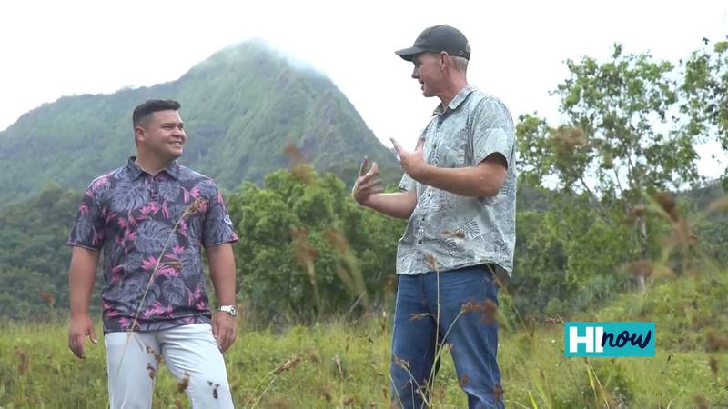 Kualoa Ranch Respects the Past and Feeds the Present