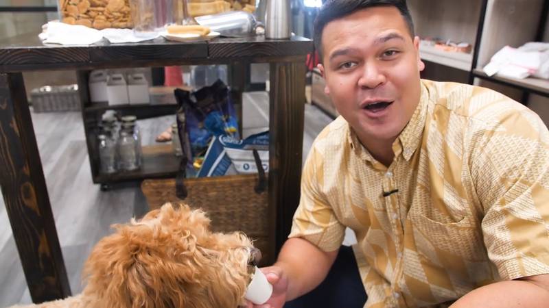 Dogtown Bakery is a treat for dogs, local businesses, and the aina