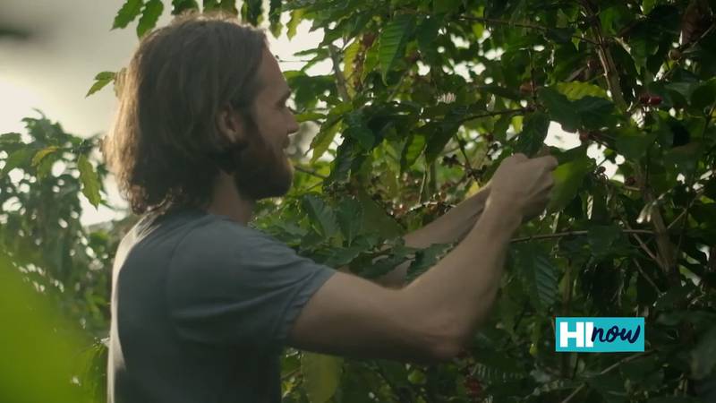 Big Island Coffee on success of e-commerce during pandemic
