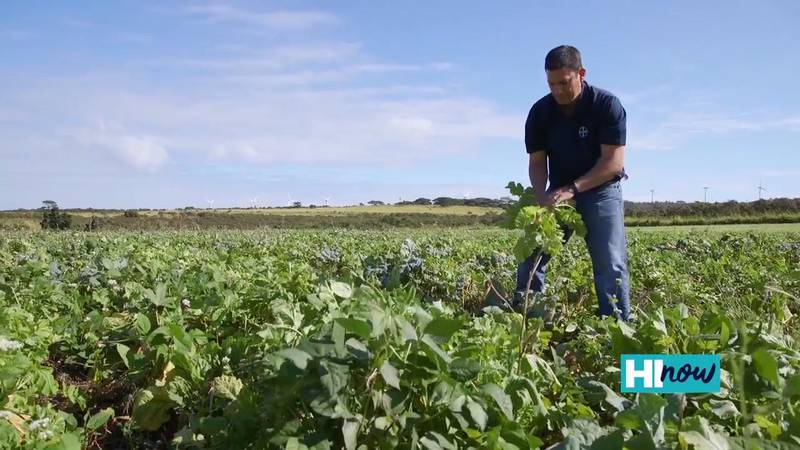 Crop science helps Bayer protect Hawaii’s natural resources