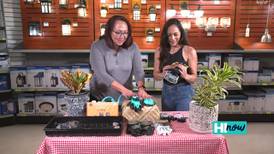 Check out City Mill’s new and innovative gardening products