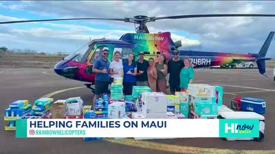 Supporting Momʻs and Babies on Maui