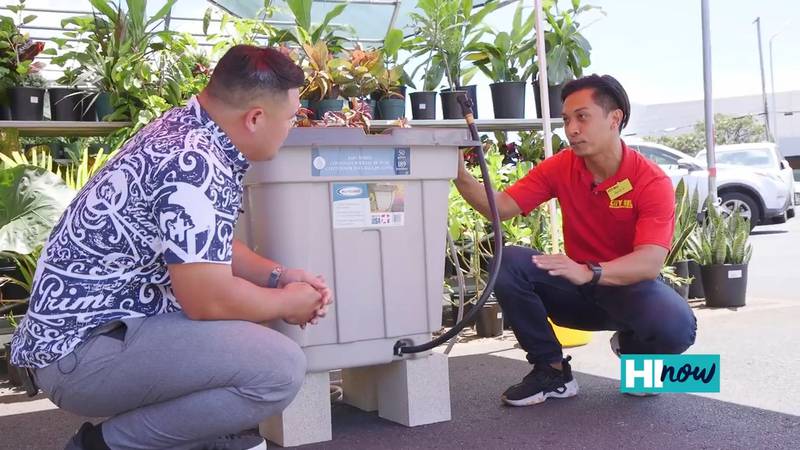 Conserve water with City Mill’s Suncast 50 Gallon Rain Barrel