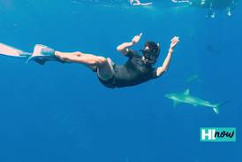 Experience the wonders of marine life with Deep Blue Eco Tours