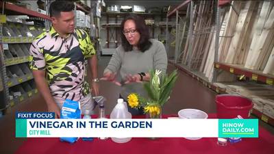 Fixit Focus: Vinegar in the Garden